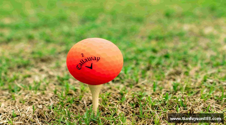 彩神vll汇聚力量，追逐梦想！